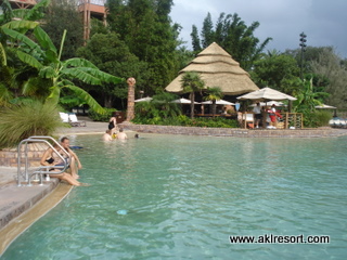 animal kingdom lodge pool view room tour